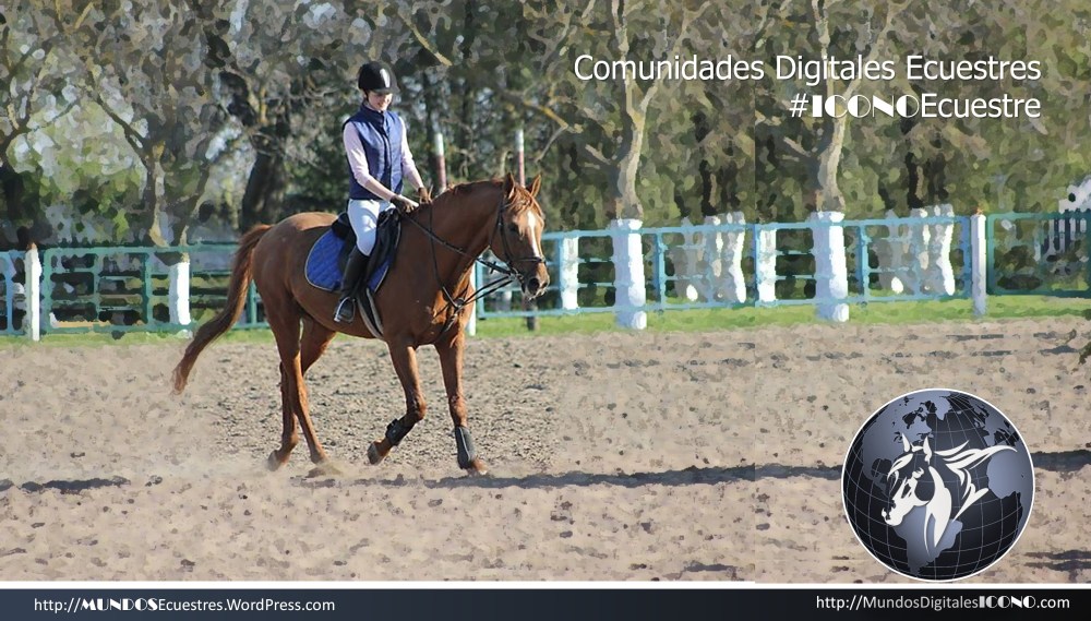 Amazonas #KseniiaOzerna #CDE #ComunidadesDigitalesEcuestres.