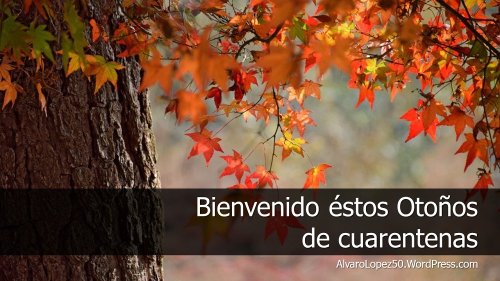 #AlvaroLópez el blog... Entre la razón y el entendimiento