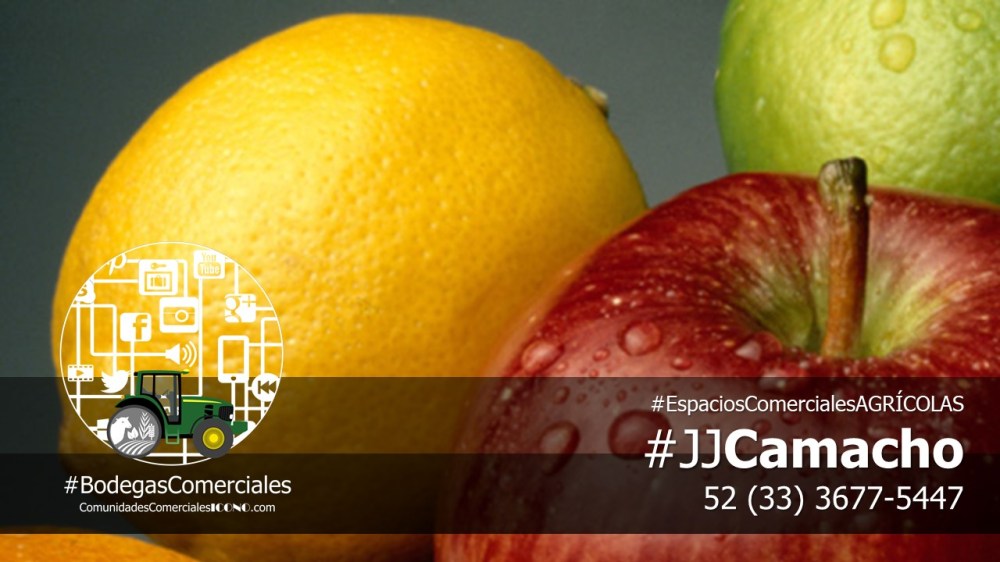 #CentralesdeAbastos y #MercadosdeAlimentos. #BodegasComercialesICONO