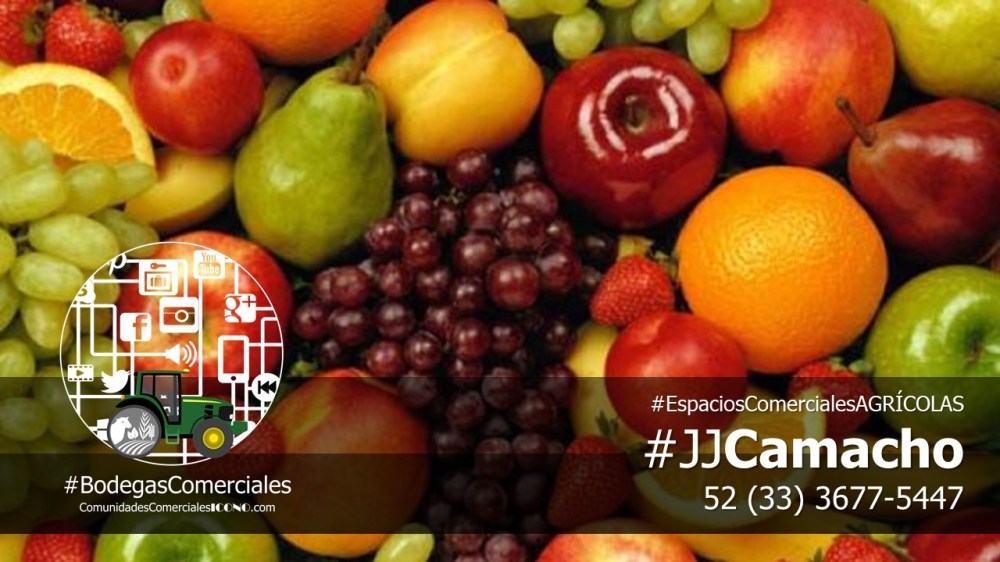 #CentralesdeAbastos y #MercadosdeAlimentos. #BodegasComercialesICONO