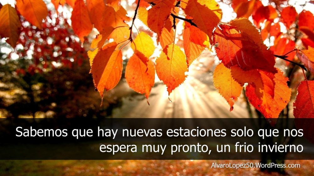#AlvaroLópez el blog... Entre la razón y el entendimiento