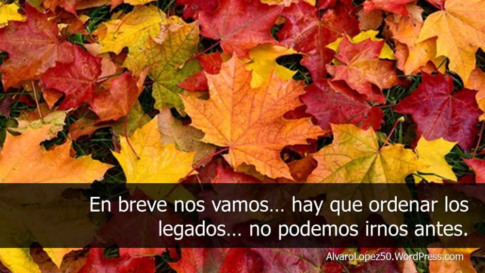 #AlvaroLópez el blog... Entre la razón y el entendimiento
