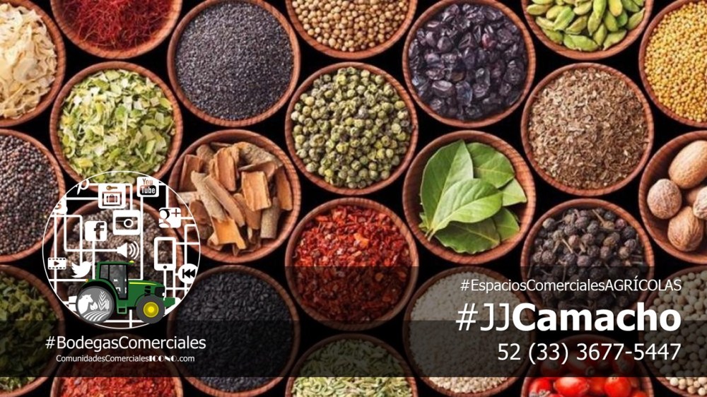 #CentralesdeAbastos y #MercadosdeAlimentos. #BodegasComercialesICONO