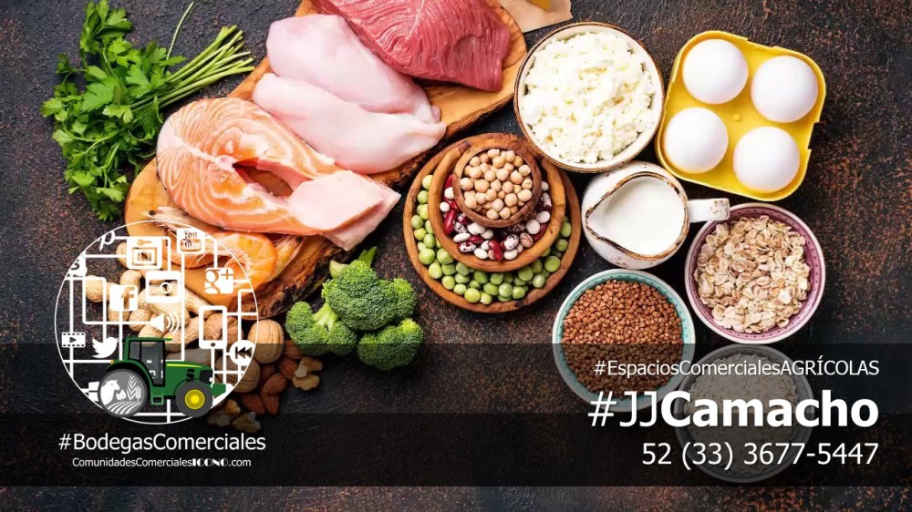 #CentralesdeAbastos y #MercadosdeAlimentos. #BodegasComercialesICONO